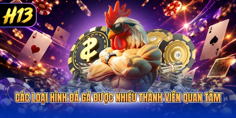 Các loại hình đá gà được nhiều thành viên quan tâm