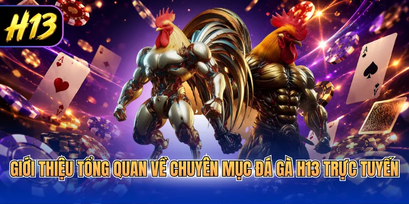 Giới thiệu tổng quan về chuyên mục đá gà H13 trực tuyến